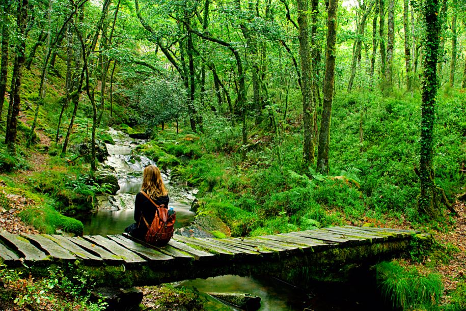 Rutas de senderismo y naturaleza en el turismo rural de Asturias